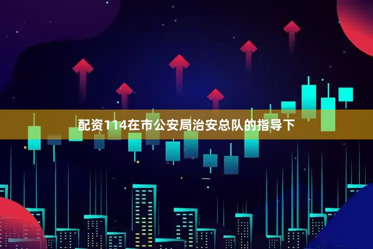 配资114在市公安局治安总队的指导下