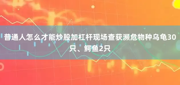 普通人怎么才能炒股加杠杆现场查获濒危物种乌龟30只、鳄鱼2只