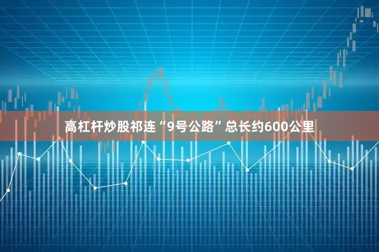 高杠杆炒股祁连“9号公路”总长约600公里